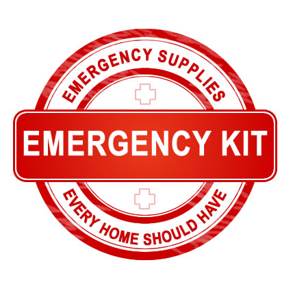 Emergency Repair Kit